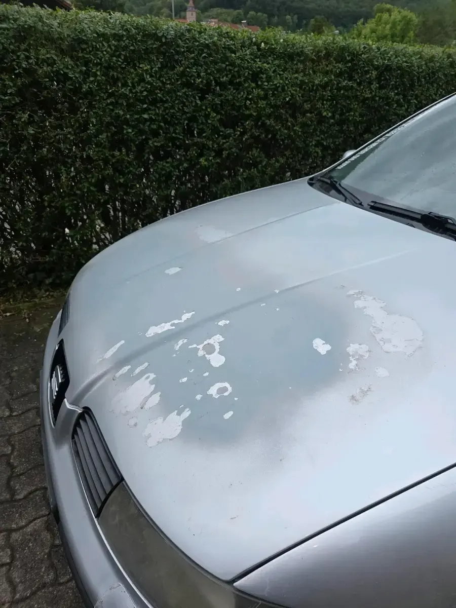 Gebraucht Seat Leon 120 PS (88 kW) 2003 Silber Kleinwagen