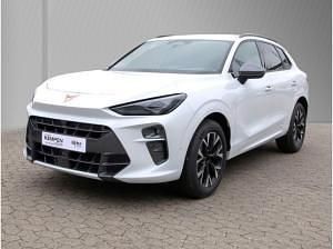 Usata Cupra Terramar 150 CV (110 kW) 2025 Bianco SUV