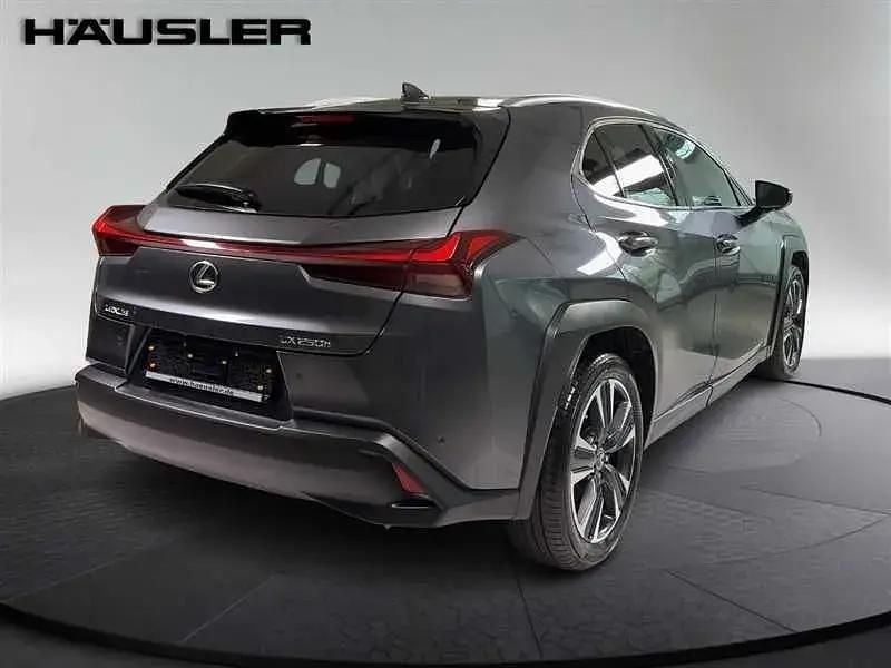 Second-hand Lexus UX 2023 Gri SUV
