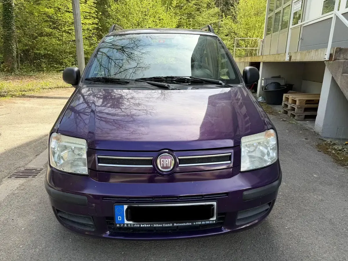 Brugt Fiat Panda Dynamic 60 HK (44 kW) 2009 Lilla Hatchback