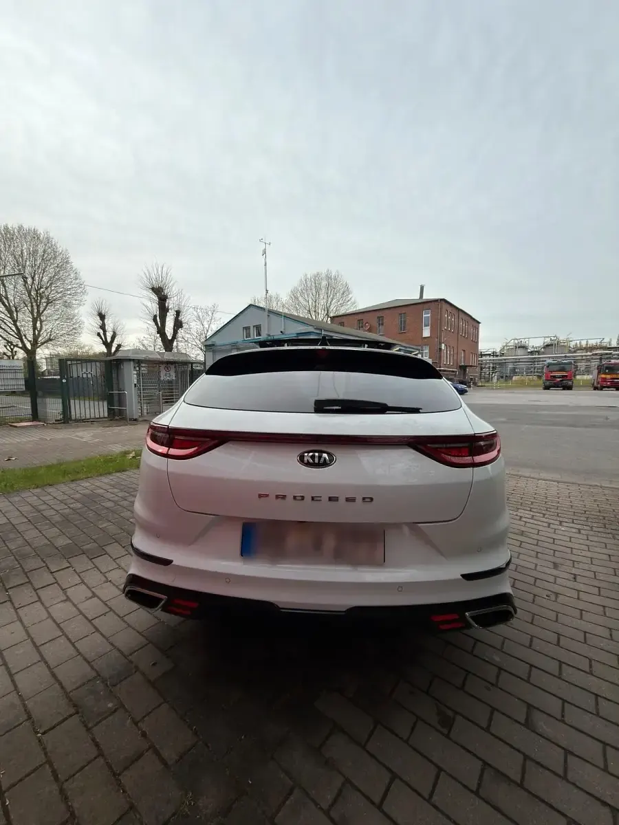 Gebraucht Kia ProCeed GT 204 PS (150 kW) 2021 Weiß Kombi