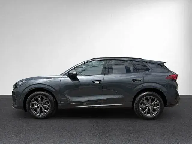 Gebraucht Cupra Terramar 150 PS (110 kW) 2026 Grau SUV