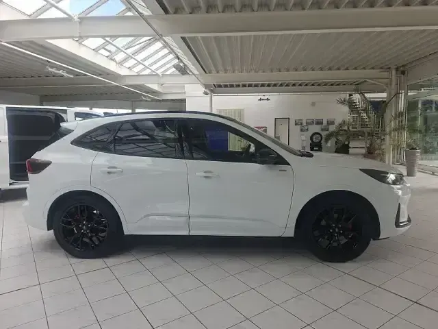 Neu Ford Kuga ST-Line X 179 PS (131 kW) 2026 Frostweiß (weiss) SUV