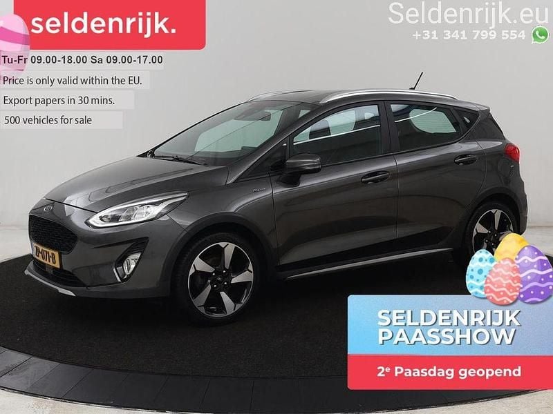 Gebraucht Ford Fiesta Active 101 PS (74 kW) 2019 Grau Kleinwagen