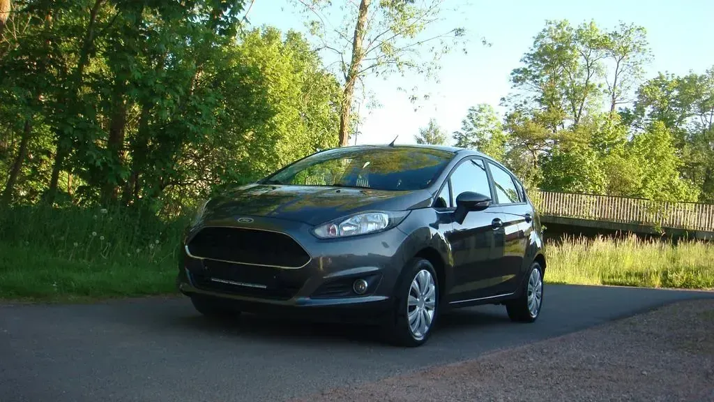 Gebraucht Ford Fiesta Celebration 82 PS (60 kW) 2016 Grau Kleinwagen