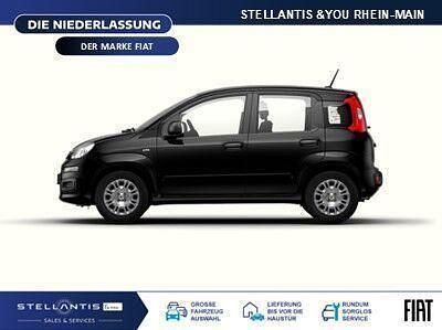Neu Fiat Panda Icon 65 PS (47 kW) 2026 Rot Kleinwagen