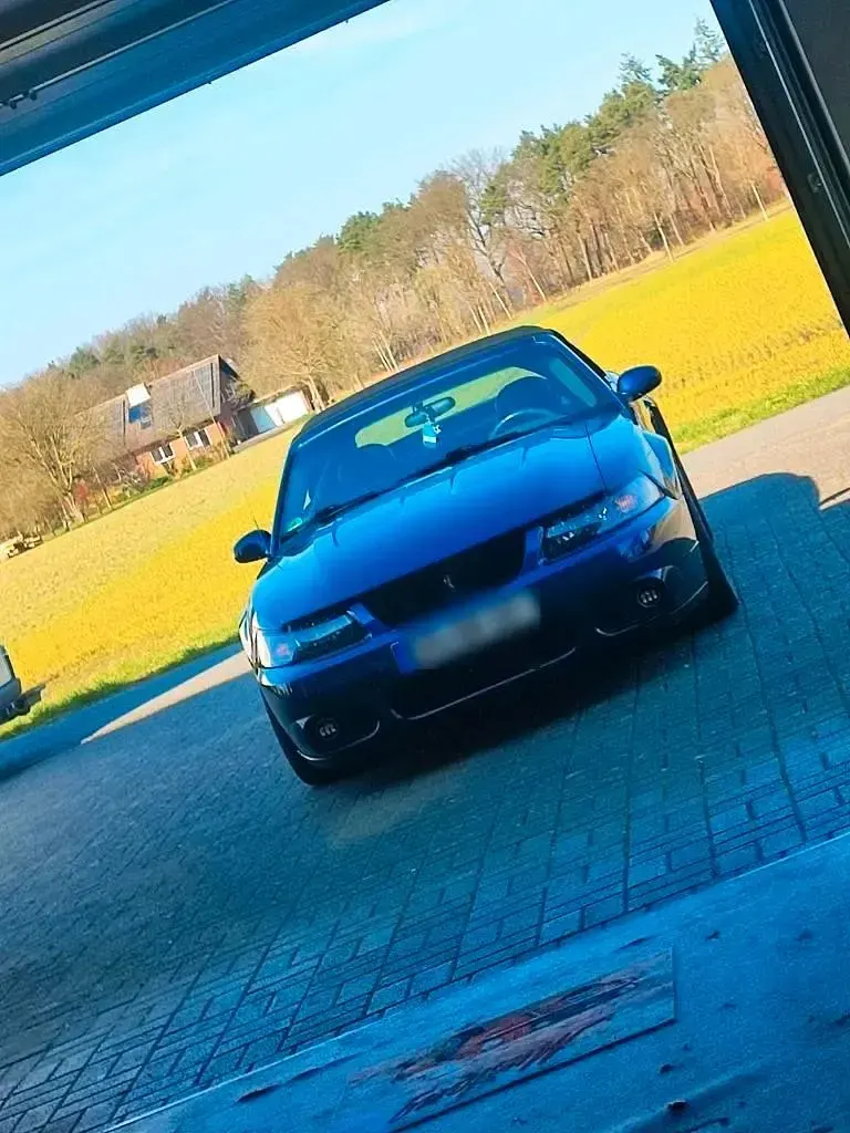 Gebraucht Ford Mustang 390 PS (286 kW) 2004 Cabrio