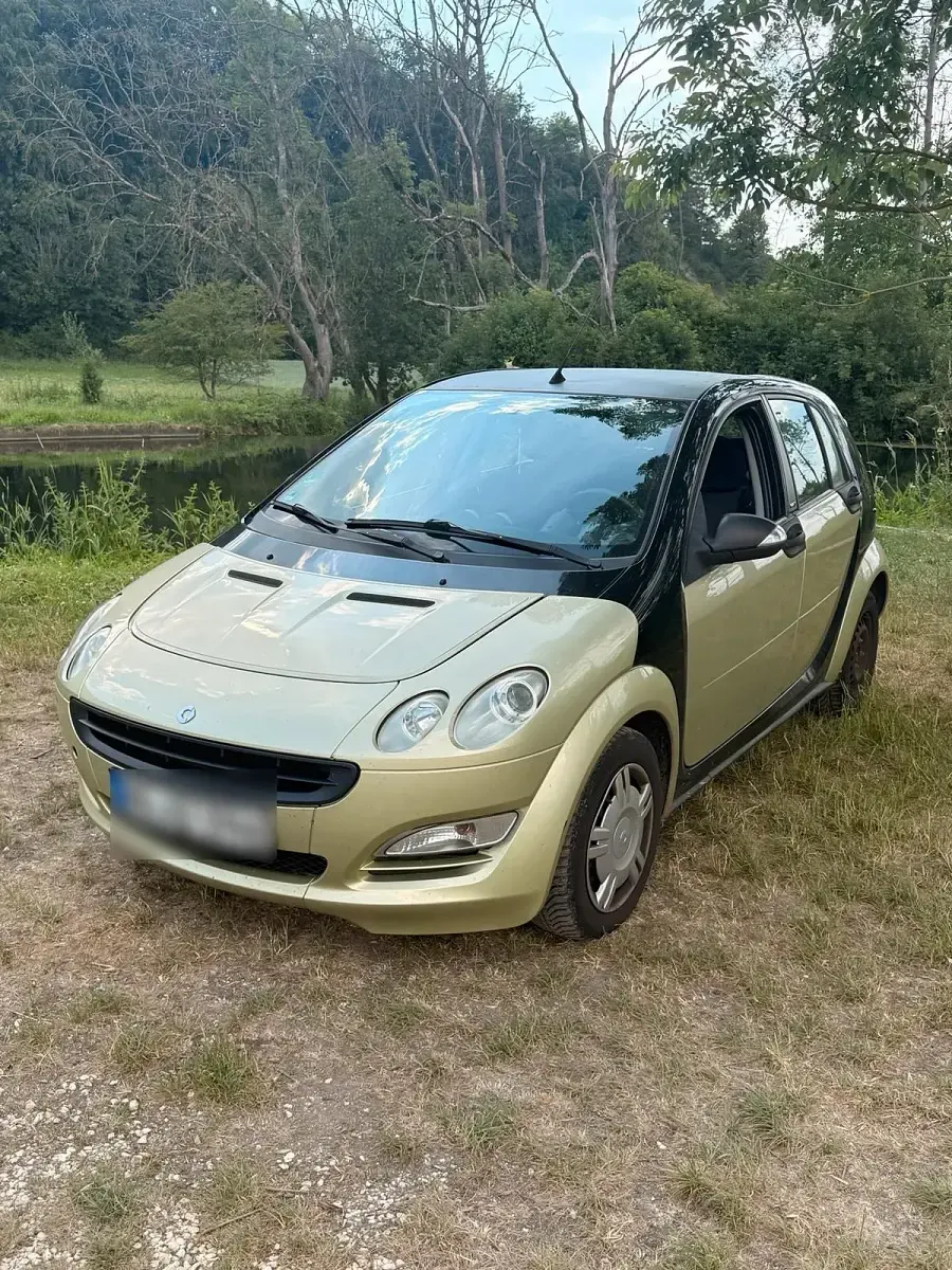 Gebraucht Smart ForFour 55 PS (40 kW) 2004 Grün Kleinwagen