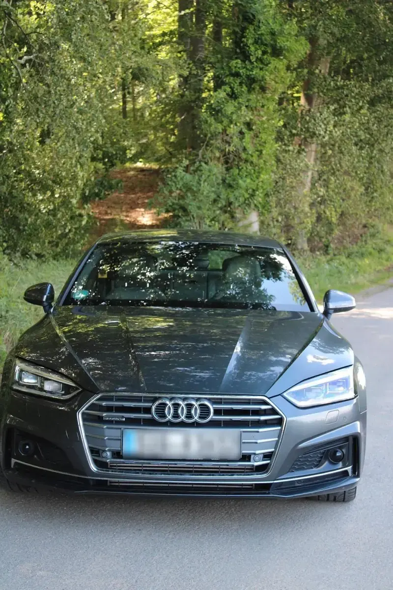 Gebraucht Audi A5 Sportback Sport 252 PS (185 kW) 2018 Grau Kleinwagen