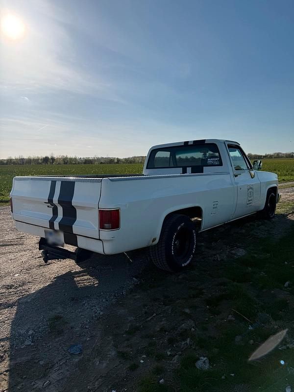 Second-hand Chevrolet C10 1987 Alb