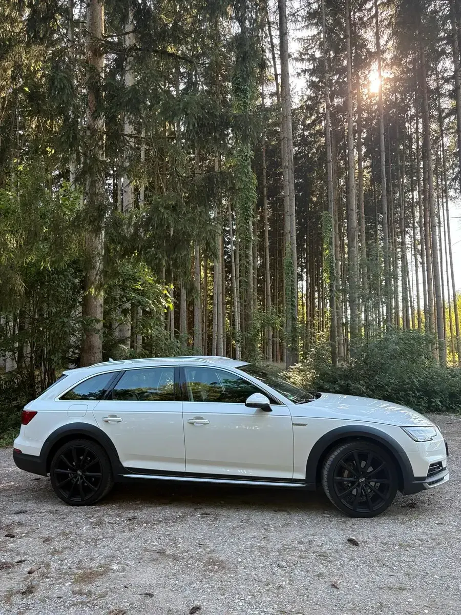 Gebraucht Audi A4 Allroad 218 PS (160 kW) 2017 Weiß Kombi