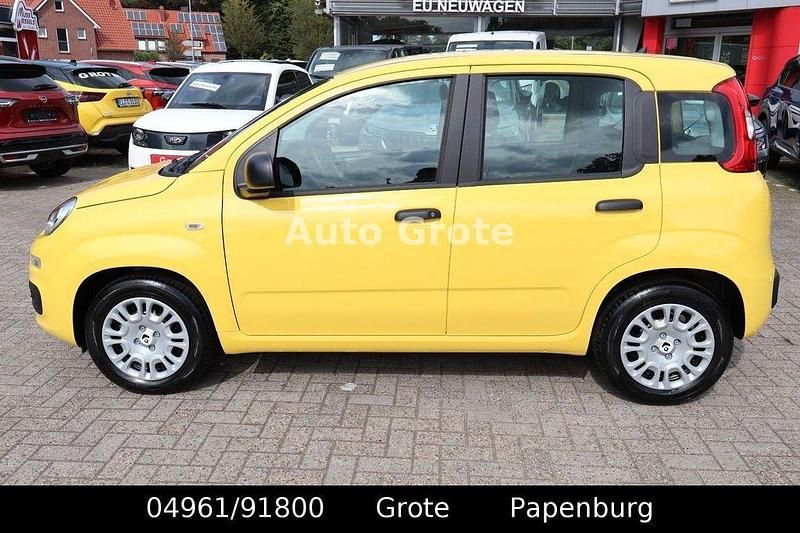 Neu Fiat Panda 69 PS (50 kW) 2025 Gelb Kleinwagen