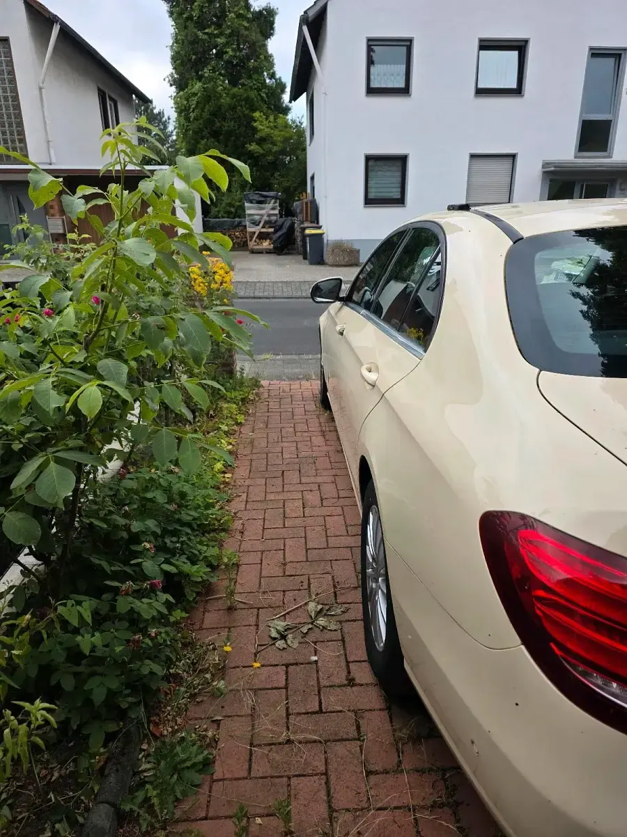 Gebraucht Mercedes E200 150 PS (110 kW) 2019 Limousine