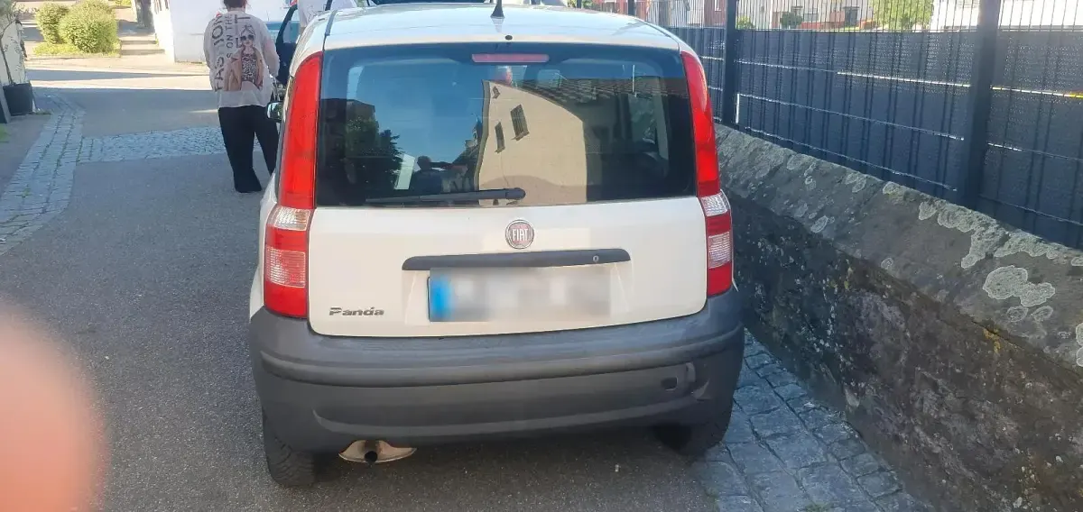 Gebraucht Fiat Panda 54 PS (39 kW) 2009 Kleinwagen