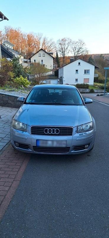 Gebraucht Audi A3 Attraction 102 PS (75 kW) 2004 Grau Kleinwagen