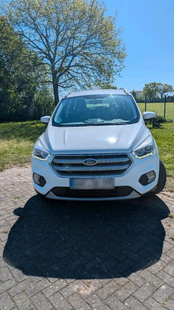 Gebraucht Ford Kuga 150 PS (110 kW) 2017 Weiß SUV