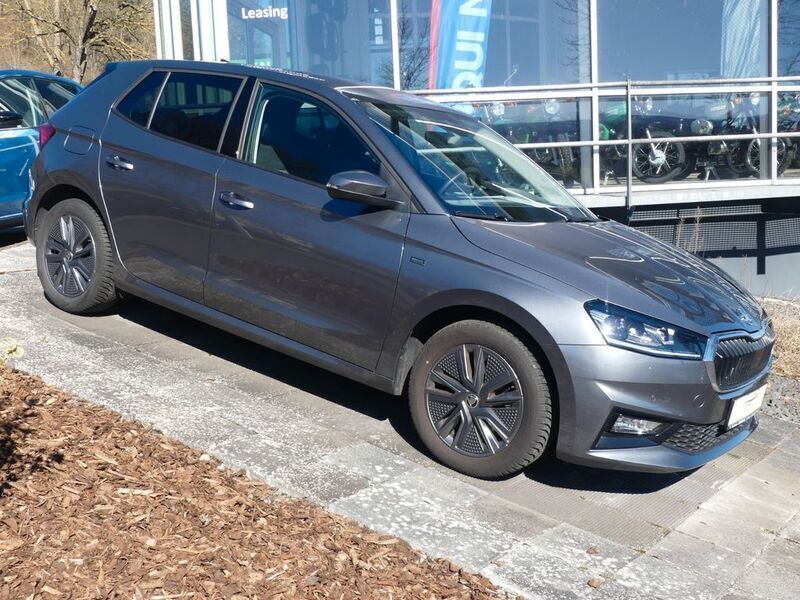 Grau Gebraucht 2024 Skoda Fabia Selection Limousine | 24.400 € (Etwas zu teuer) - Bild 1/4