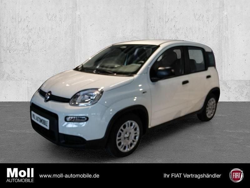 Neu Fiat Panda 69 PS (50 kW) 2025 Weiß Kleinwagen