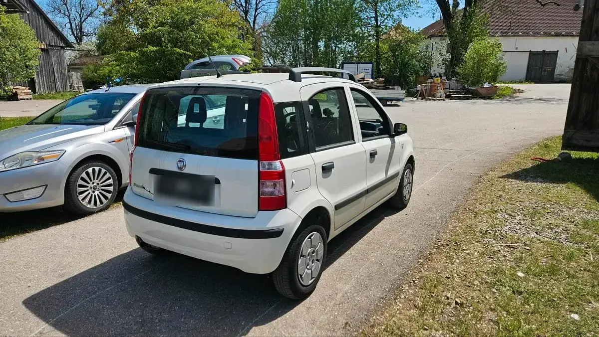 Gebraucht Fiat Panda 55 PS (40 kW) 2009 Weiß Kleinwagen
