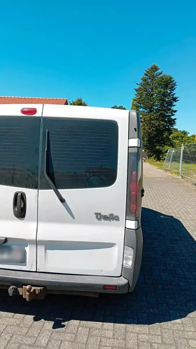 Second-hand Renault Trafic 81 CP (59 kW) 2006 Alb Monovolum