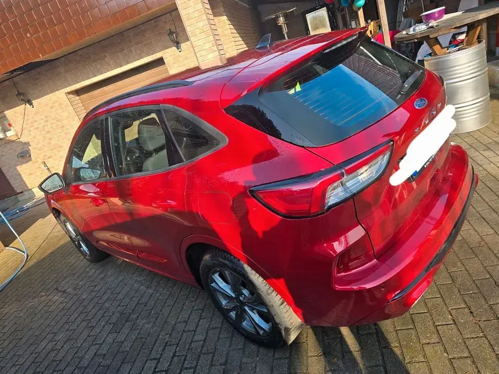 Gebraucht Ford Kuga ST-Line 224 PS (164 kW) 2024 Rot SUV