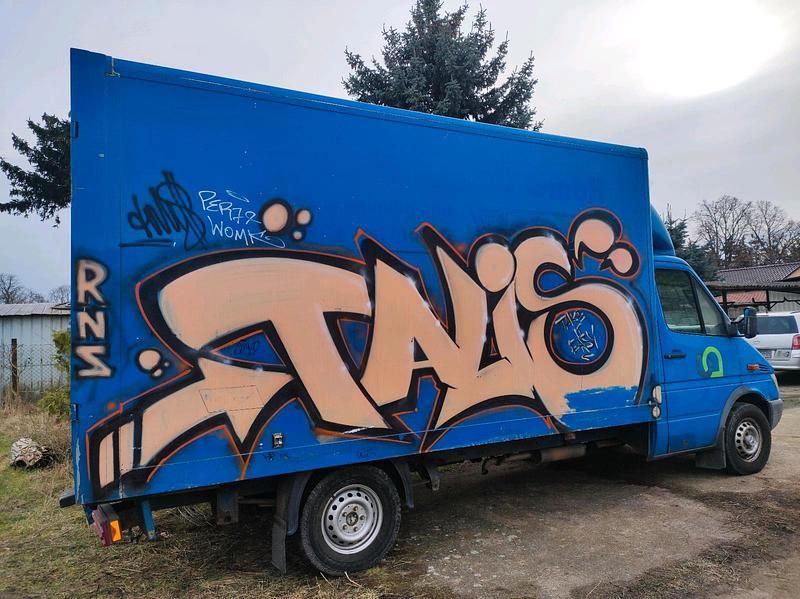 Gebraucht Mercedes Sprinter 130 PS (95 kW) 2001 Blau Van