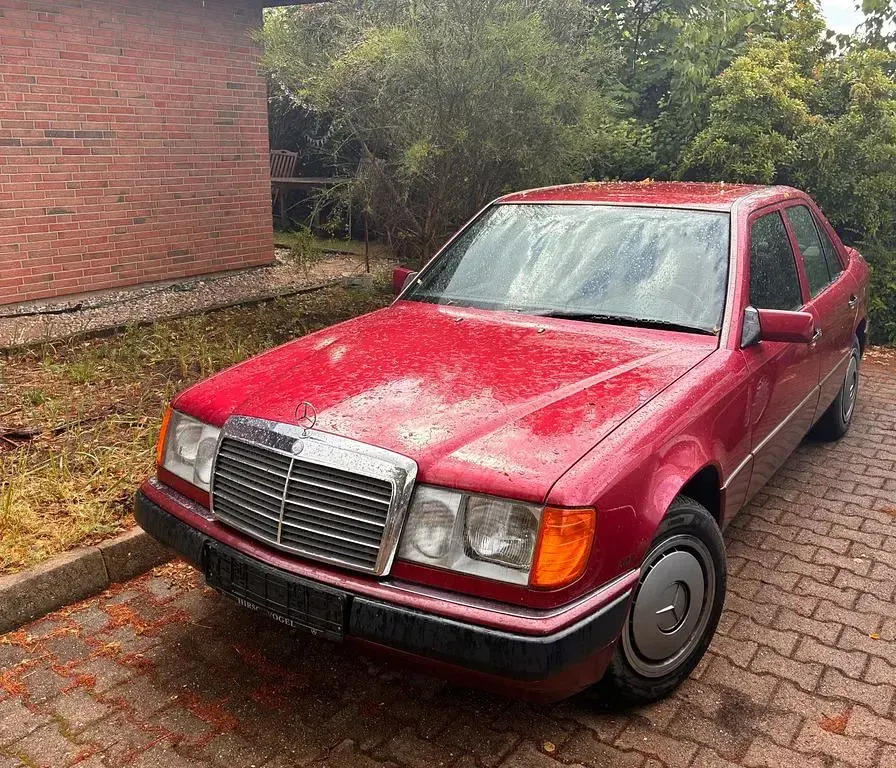 Gebraucht Mercedes 230 136 PS (100 kW) 1991 Rot Limousine