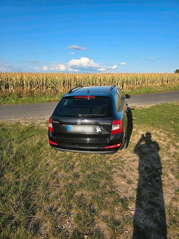 Gebraucht Skoda Octavia 150 PS (110 kW) 2017 Kombi