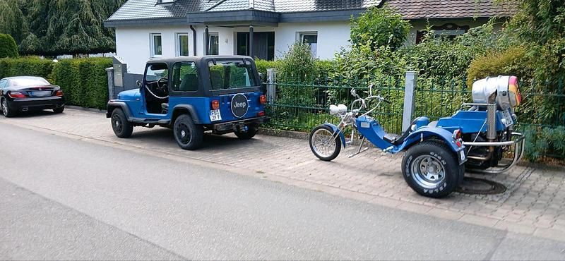 Gebraucht Jeep Wrangler 125 PS (91 kW) 1994 Blau SUV
