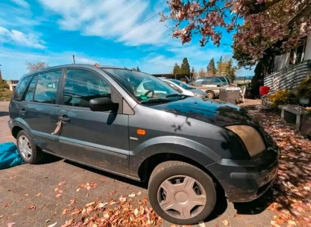 Gebraucht Ford Fusion 68 PS (50 kW) 2004 Blau Kleinwagen