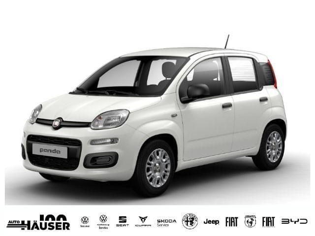 Usata Fiat Panda Icon 69 CV (50 kW) 2025 Utilitaria