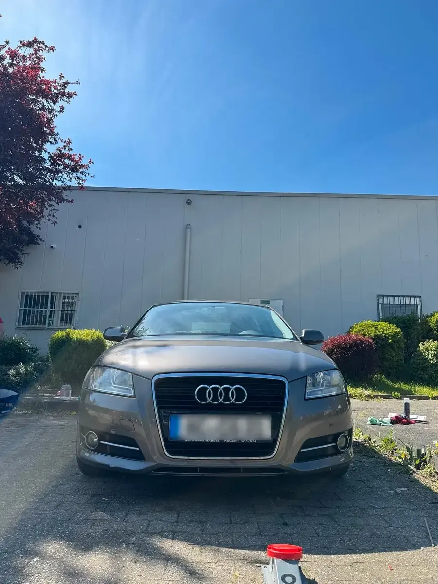 Usata Audi A3 125 CV (91 kW) 2012 Marrone Utilitaria