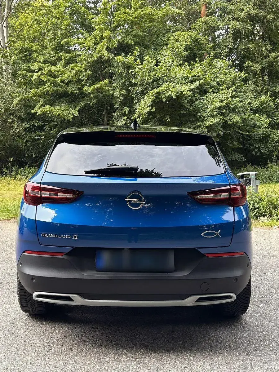 Gebraucht Opel Grandland X 131 PS (96 kW) 2019 Blau SUV