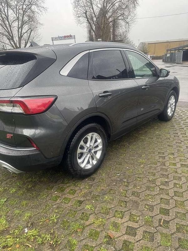 Gebraucht Ford Kuga Titanium X 150 PS (110 kW) 2023 SUV