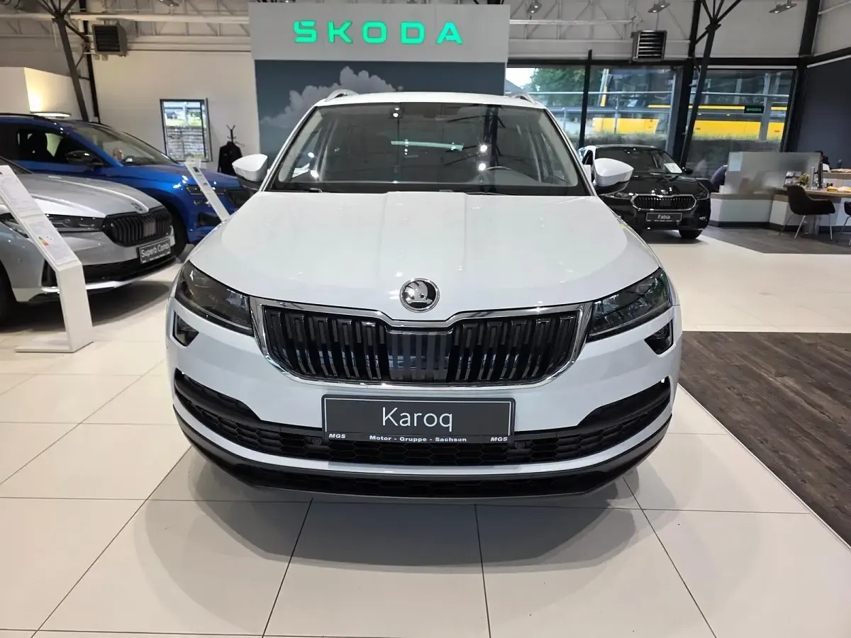 Gebraucht Skoda Karoq Clever 150 PS (110 kW) 2021 Moonweiss metallic SUV