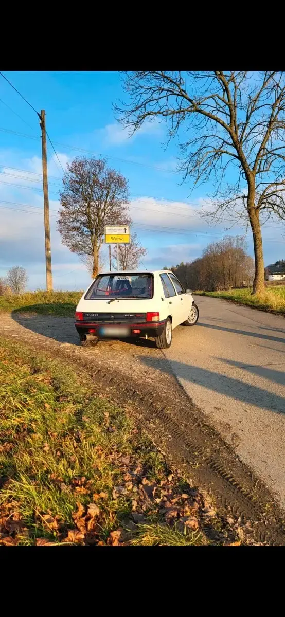 Gebraucht Peugeot 205 60 PS (44 kW) 1991 Kleinwagen