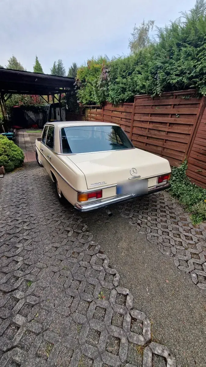 Gebraucht Mercedes W115 60 PS (44 kW) 1973 Beige Limousine