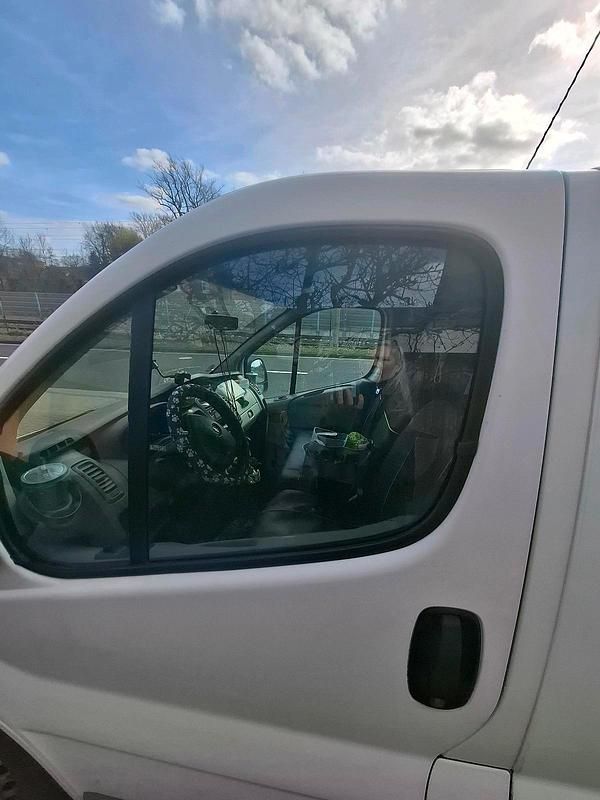 Gebraucht Opel Vivaro 114 PS (83 kW) 2013 Weiß Van / Kleinbus