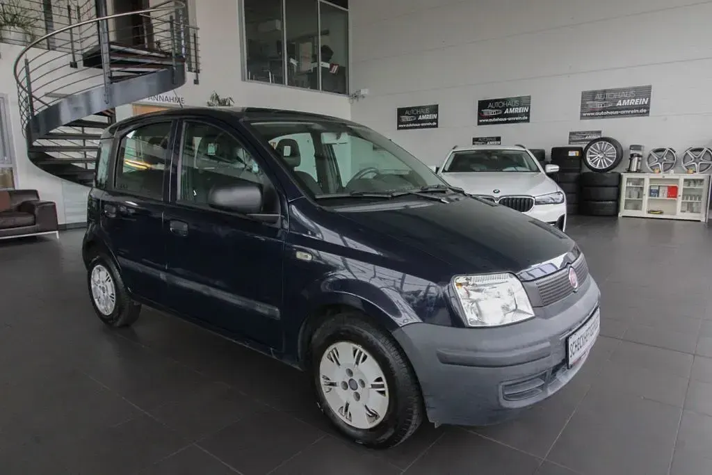 Gebraucht Fiat Panda Active 54 PS (39 kW) 2010 Blau Kleinwagen
