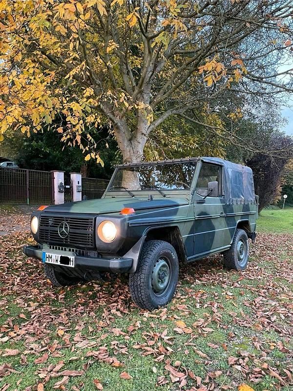 Grün Gebraucht 1990 Mercedes G250 SUV | 21.500 € - Bild 1/4