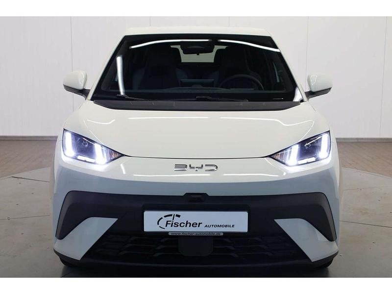 Neu BYD Dolphin Surf Comfort 114 kW (156 PS) 2026 Weiß Kleinwagen