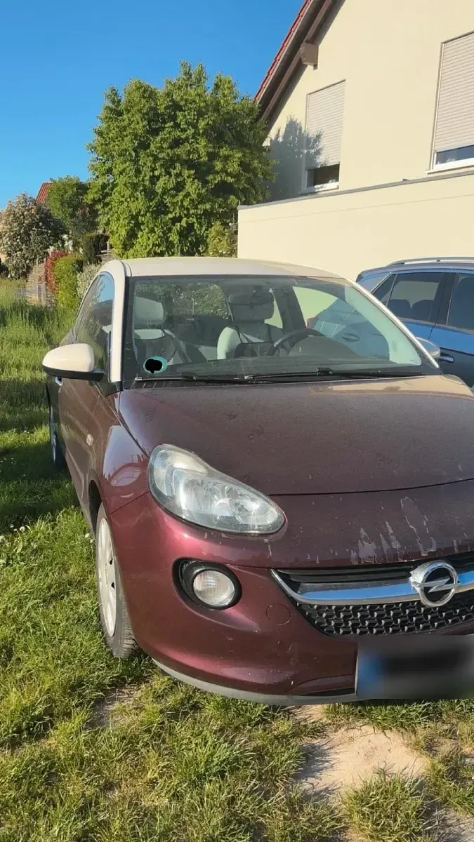 Usata Opel Adam 87 CV (63 kW) 2014 Viola Utilitaria