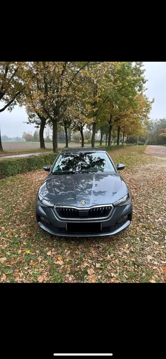 Gebraucht Skoda Scala Ambition 115 PS (84 kW) 2020 Grau Kleinwagen
