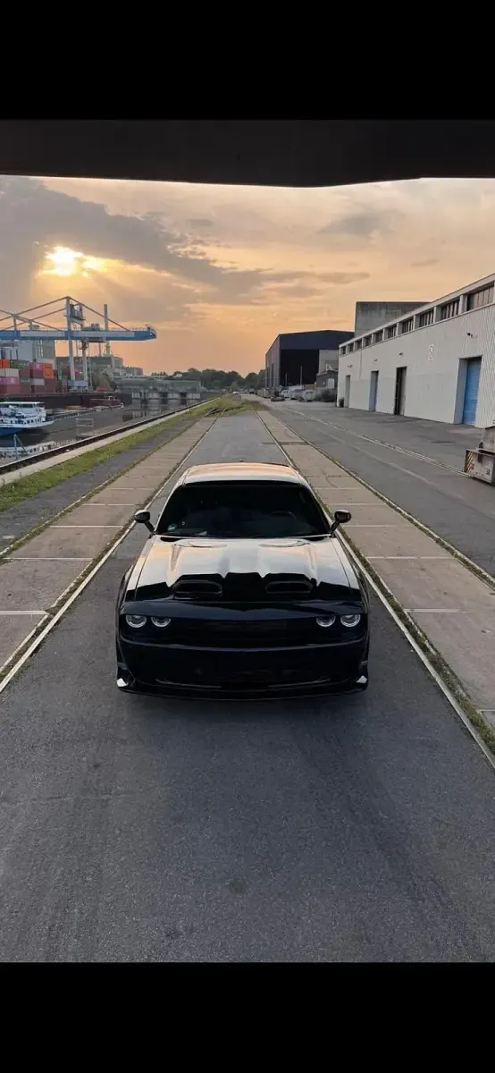 Occasion Dodge Challenger SXT 308 ch (226 kW) 2015 Noir Coupé