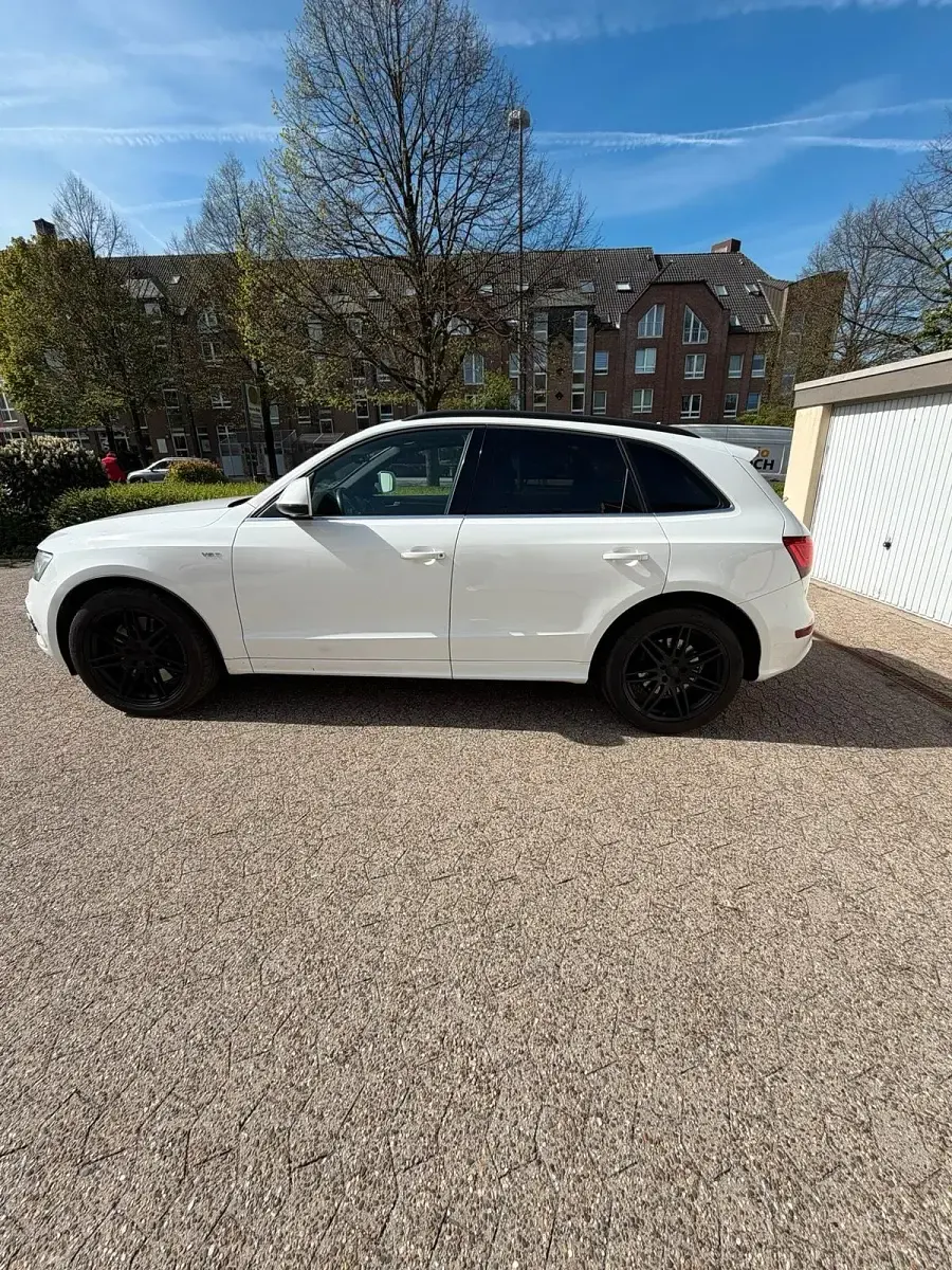 Gebraucht Audi SQ5 S-Line 313 PS (230 kW) 2013 Weiß SUV