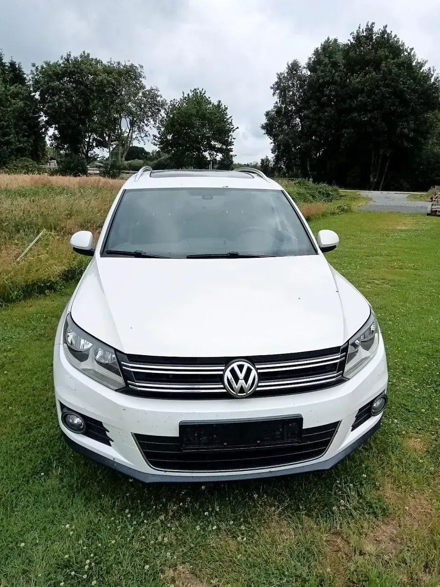 Gebraucht VW Tiguan LOUNGE 110 PS (80 kW) 2016 Weiß SUV