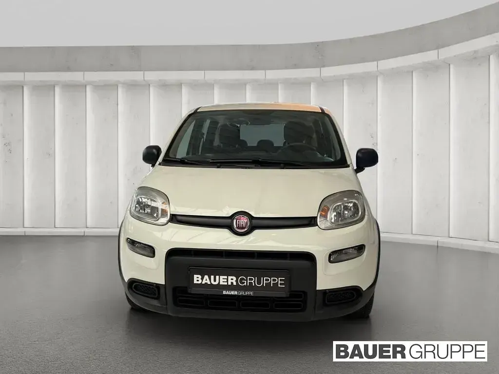 Gebraucht Fiat Panda 69 PS (50 kW) 2023 Weiss) (weiss Kleinwagen