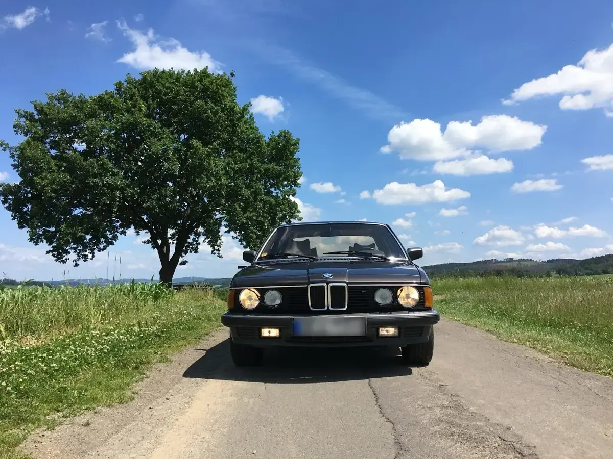 Gebraucht BMW 735 218 PS (160 kW) 1985 Braun Limousine