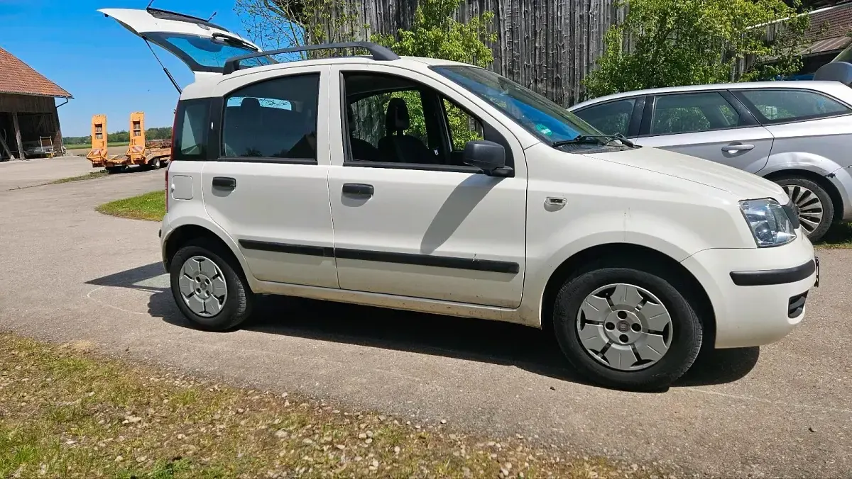 Gebraucht Fiat Panda 55 PS (40 kW) 2009 Weiß Kleinwagen