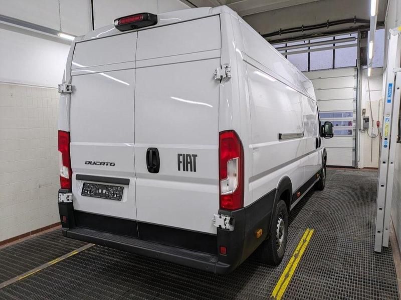 Gebraucht Fiat Ducato 179 PS (131 kW) 2024 Weiß Van